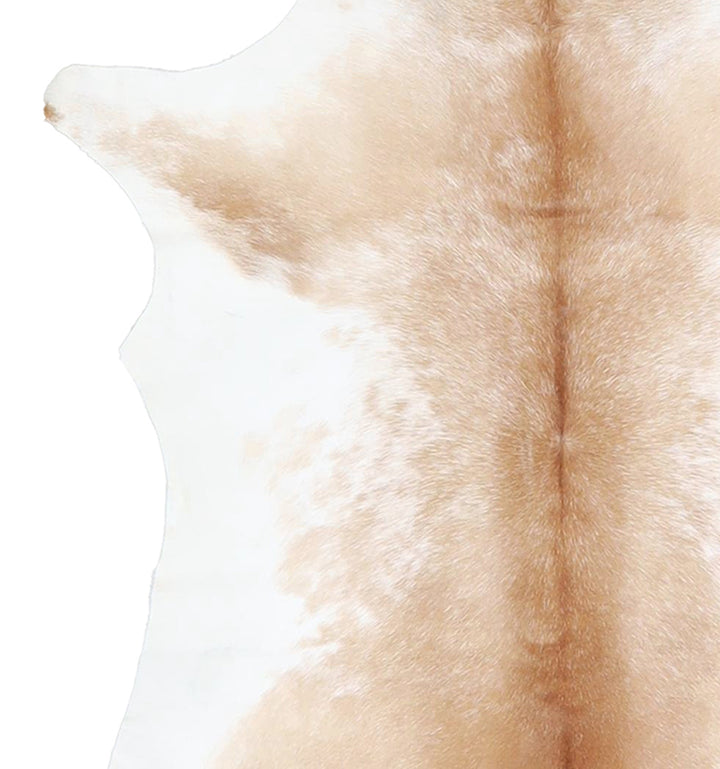 Calfhide Approx 2'x3' #A42631 by Hudson Hides