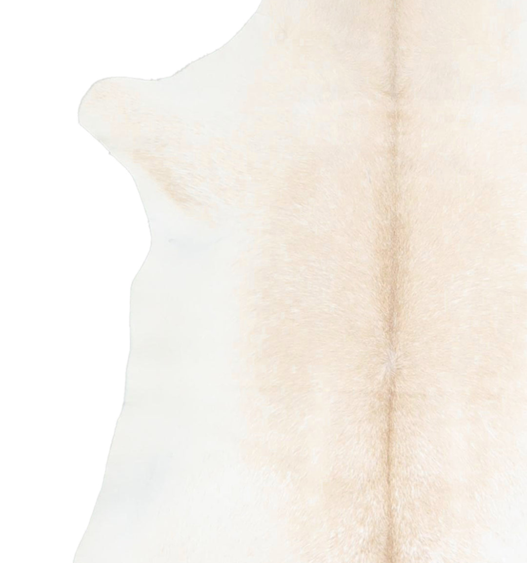 Calfhide Approx 2'x3' #A42637 by Hudson Hides