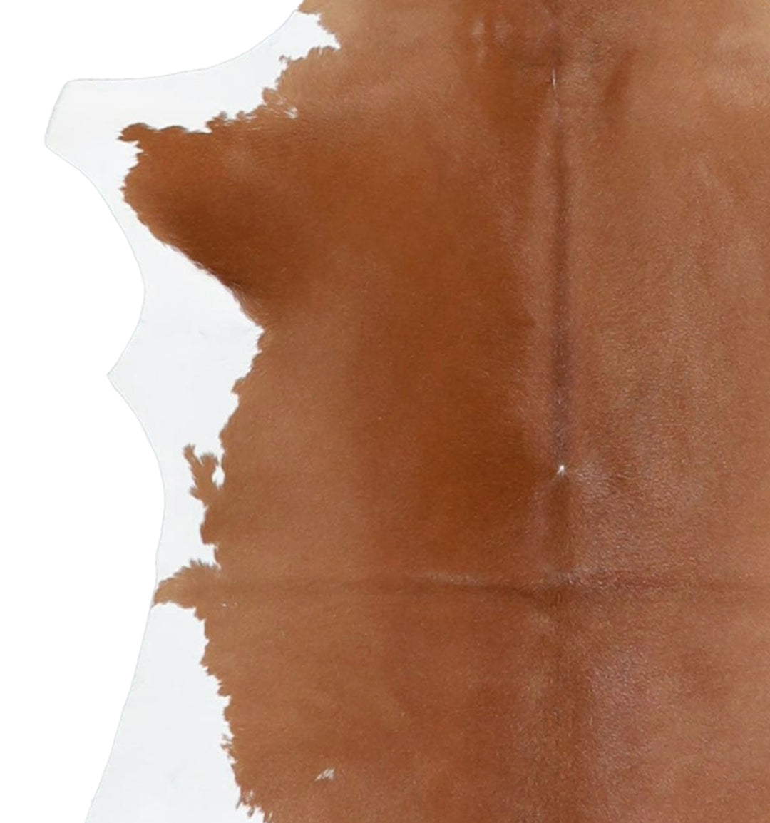 Calfhide Approx 2'x3' #A42641 by Hudson Hides