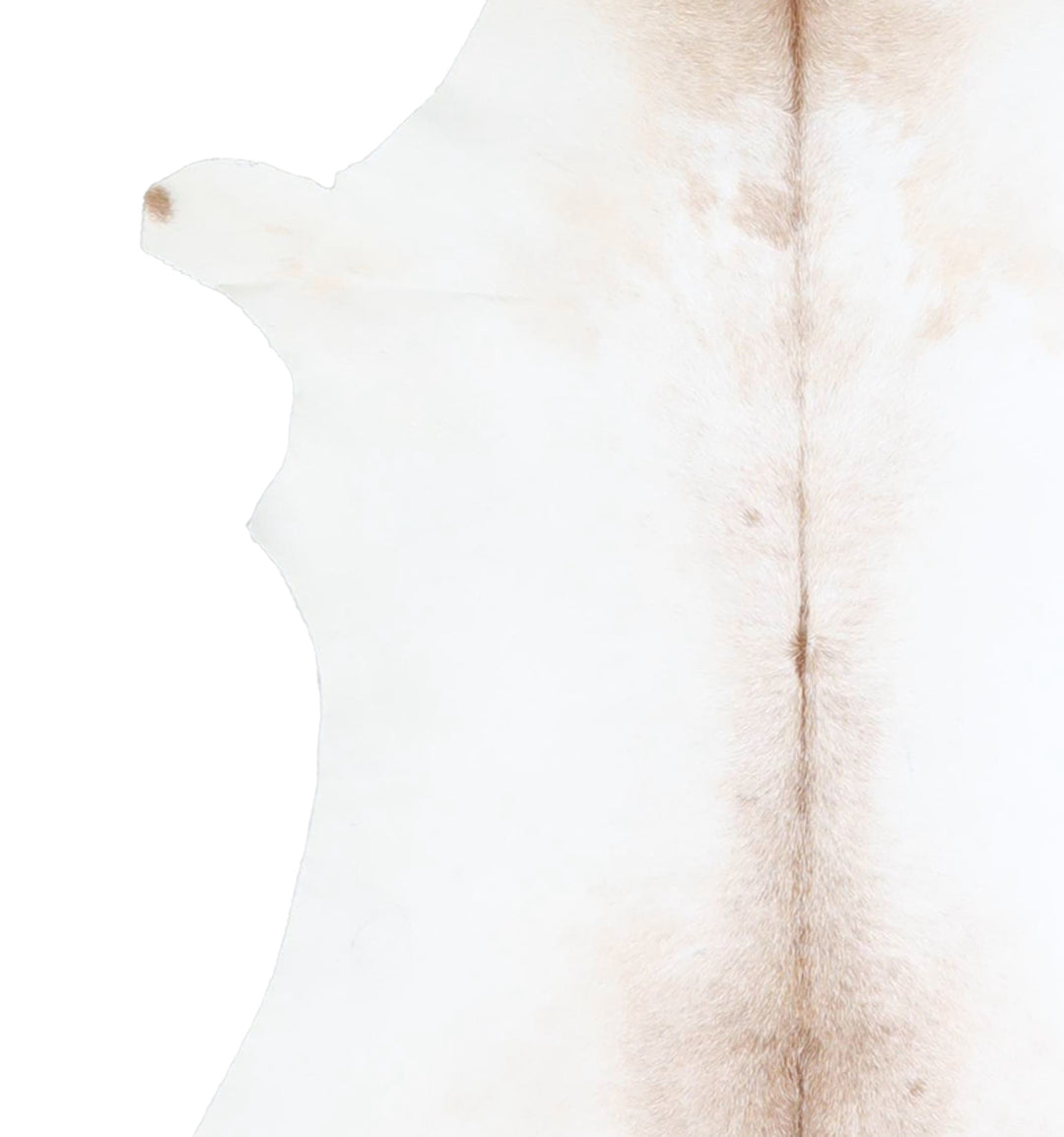 Calfhide Approx 2'x3' #A42643 by Hudson Hides