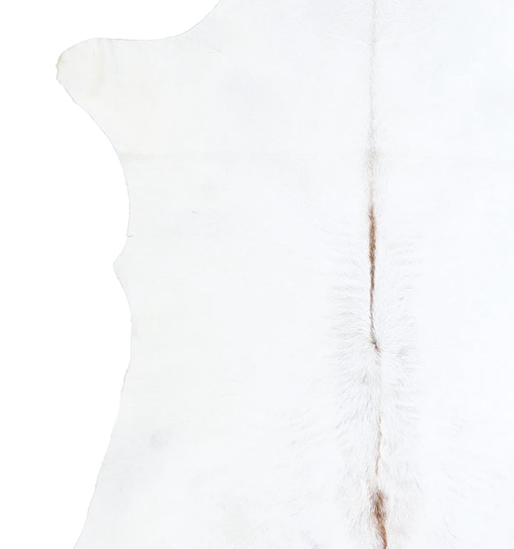 Calfhide Approx 2'x3' #A42644 by Hudson Hides