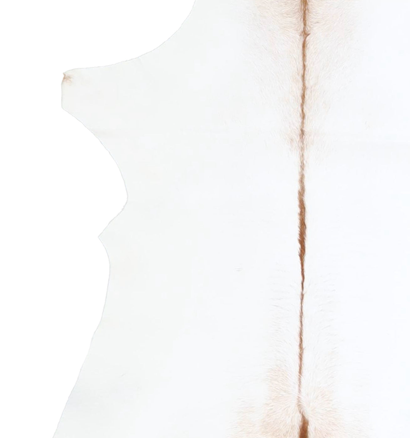 Calfhide Rug #A42645