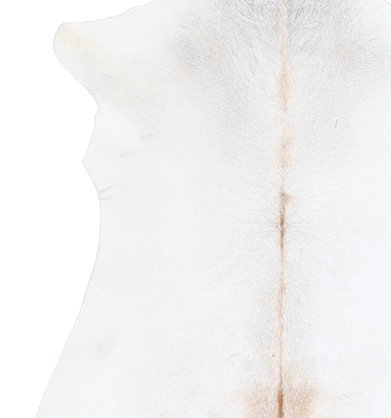 Calfhide Rug #A42648