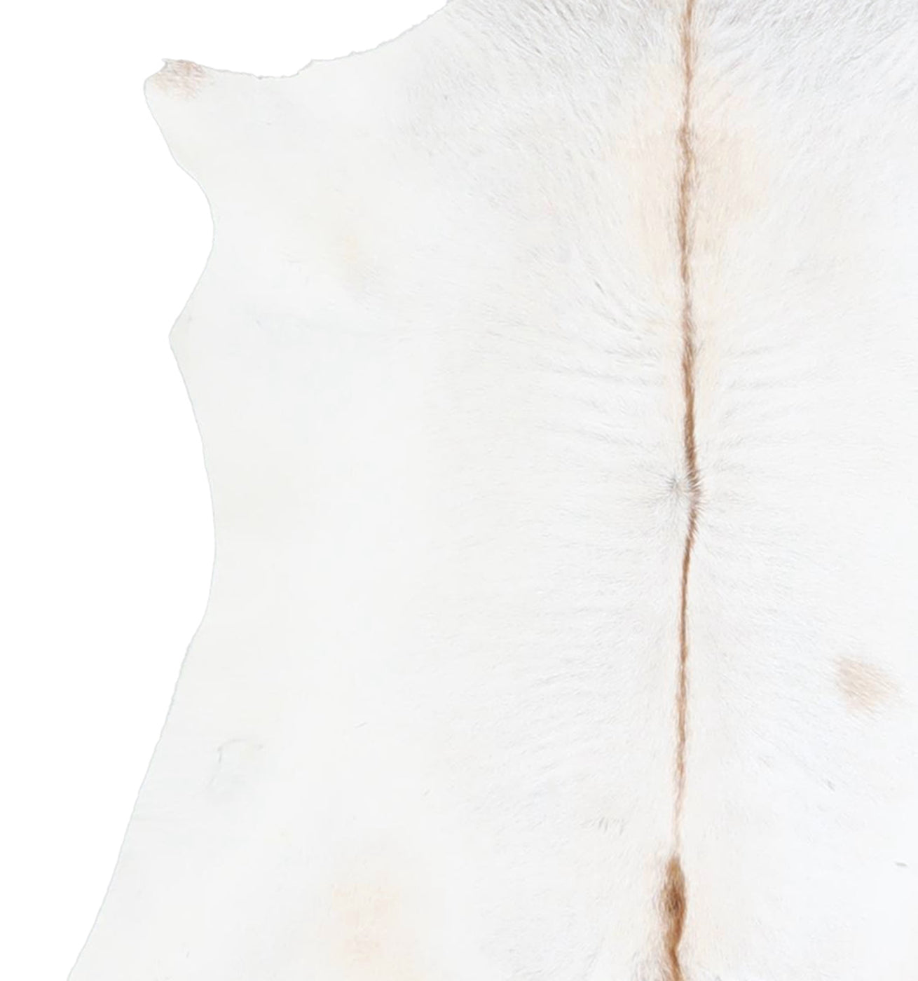 Calfhide Rug #A42649