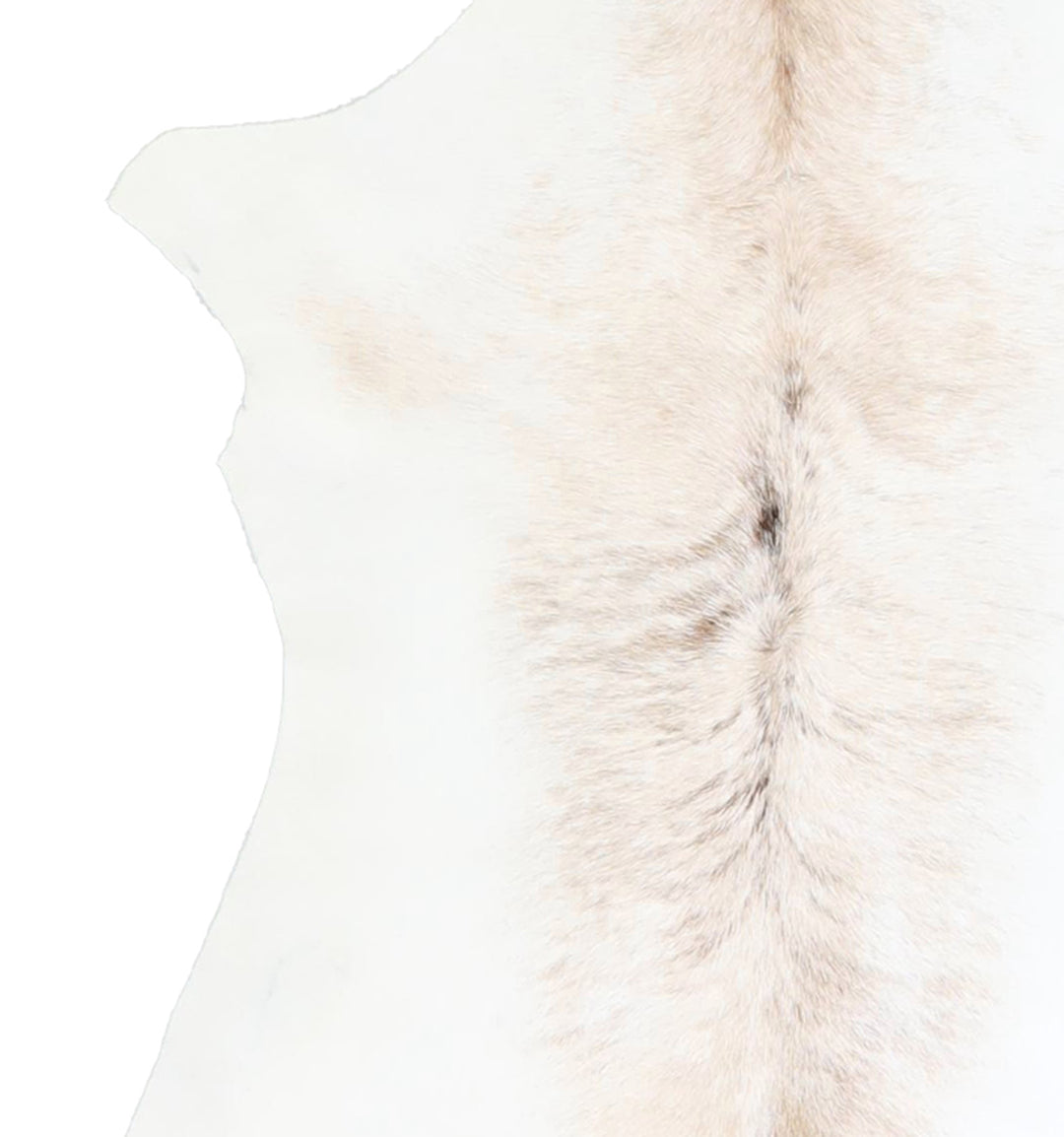 Calfhide Approx 2'x3' #A42656 by Hudson Hides