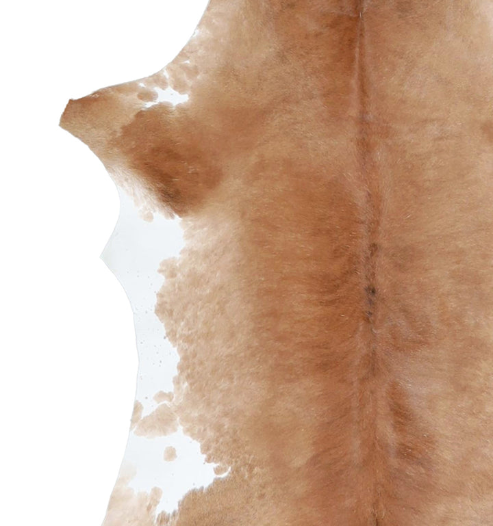 Calfhide Approx 2'x3' #A42658 by Hudson Hides