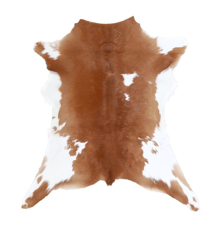 Calfhide Approx 2'x3' #A42659 by Hudson Hides