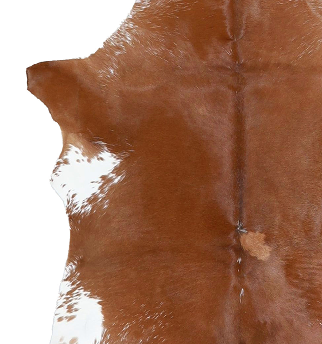 Calfhide Approx 2'x3' #A42660 by Hudson Hides