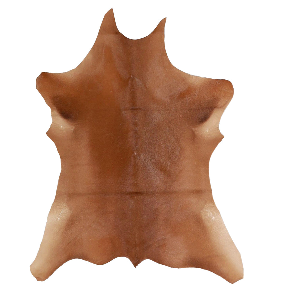 Calfhide Approx 2'x3' #A42665 by Hudson Hides