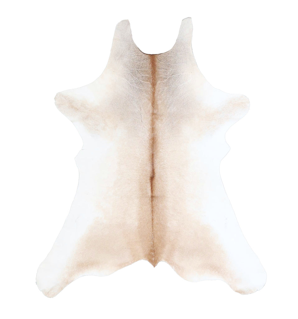 Calfhide Approx 2'x3' #A42667 by Hudson Hides