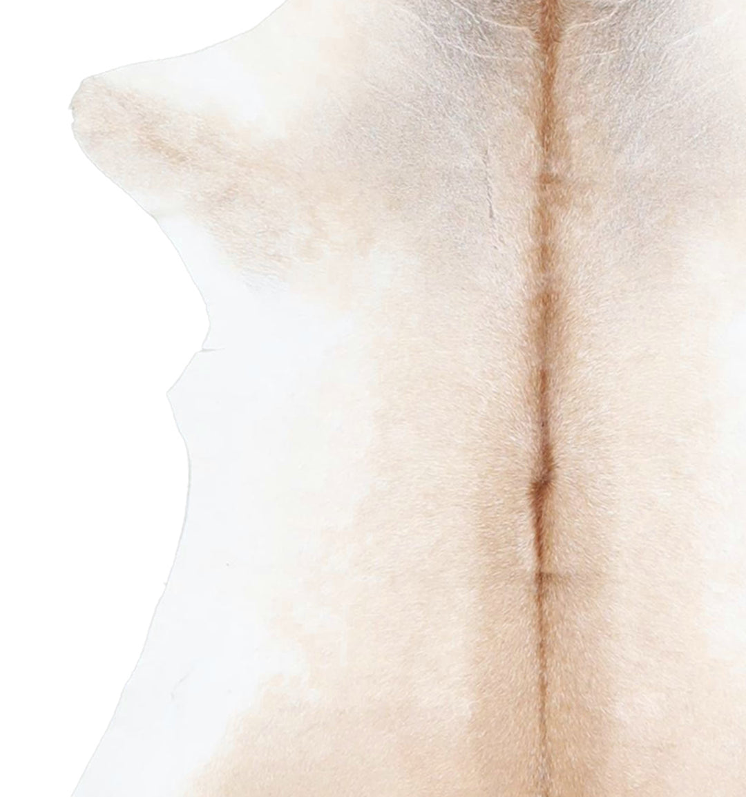 Calfhide Approx 2'x3' #A42667 by Hudson Hides
