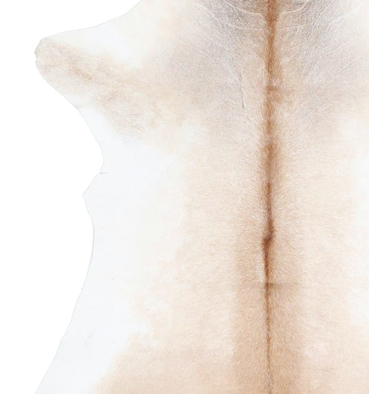 Calfhide Approx 2'x3' #A42667 by Hudson Hides