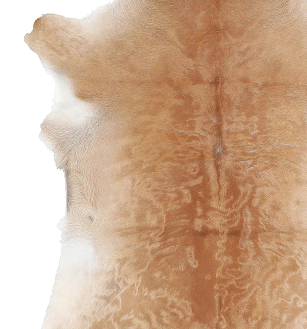 Calfhide Approx 2'x3' #A42668 by Hudson Hides