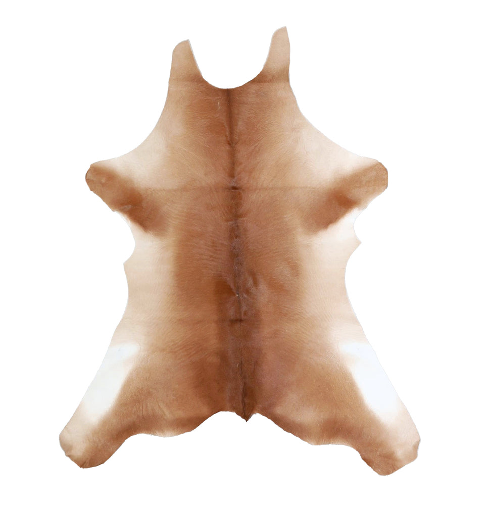 Calfhide Approx 2'x3' #A42669 by Hudson Hides