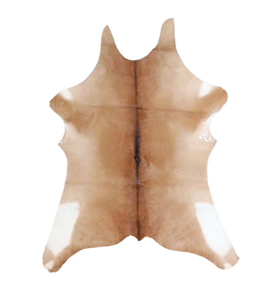 Calfhide Approx 2'x3' #A42670 by Hudson Hides