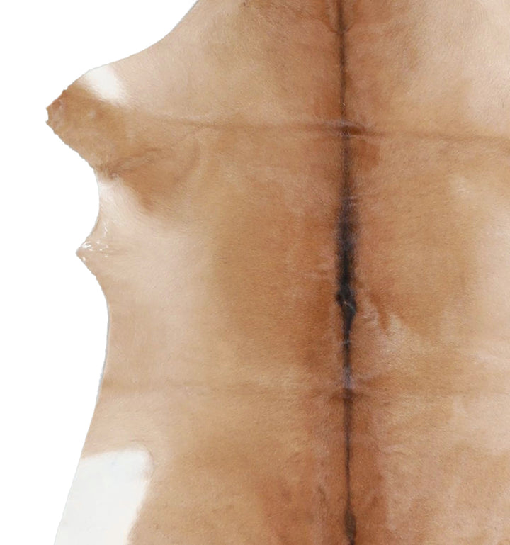 Calfhide Approx 2'x3' #A42670 by Hudson Hides