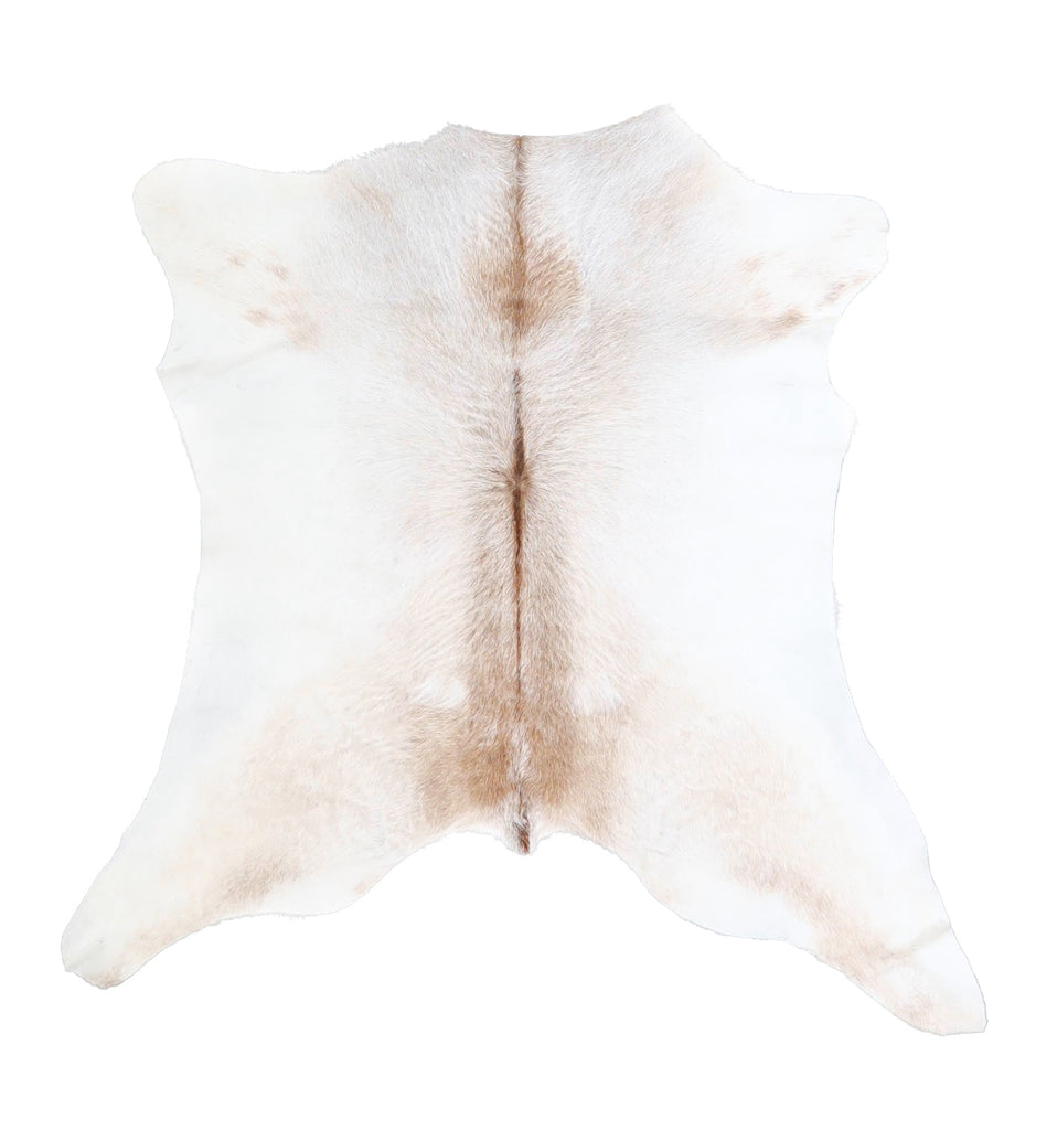 Calfhide Approx 2'x3' #A42672 by Hudson Hides
