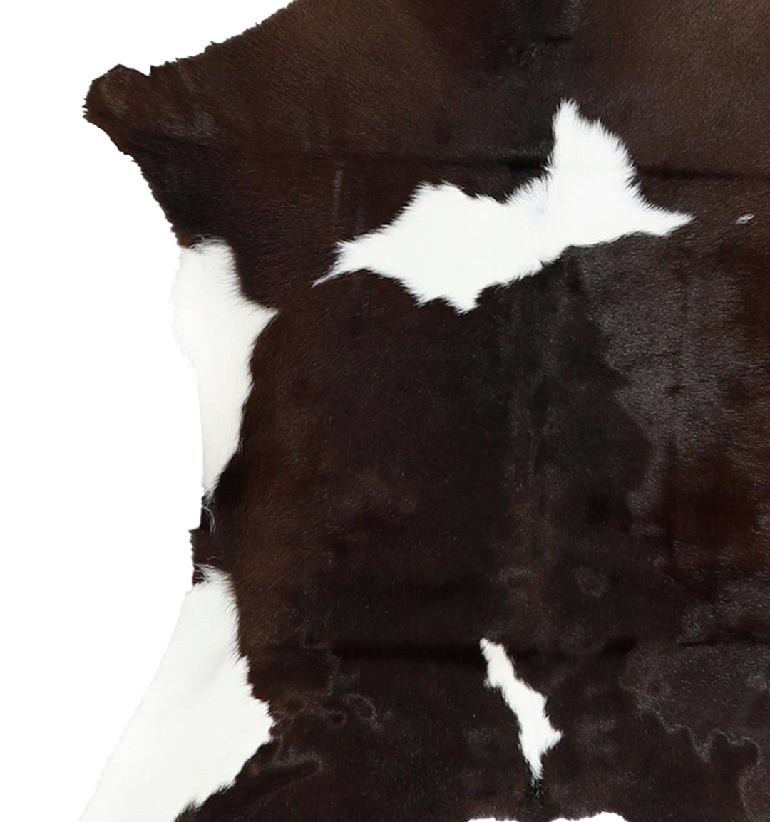 Calfhide Approx 2'x3' #A42676 by Hudson Hides