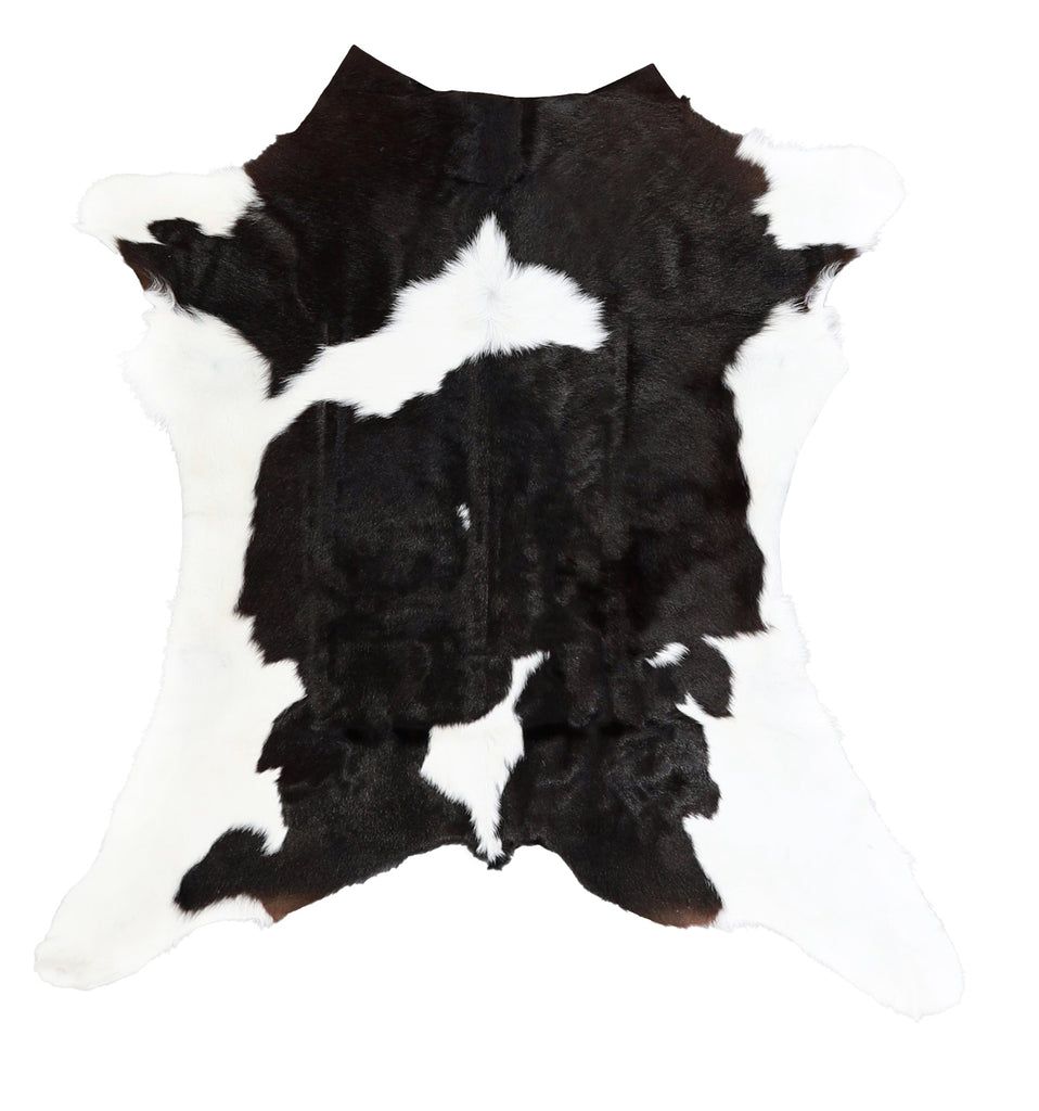 Calfhide Approx 2'x3' #A42677 by Hudson Hides