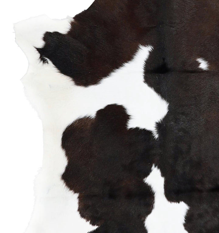 Calfhide Approx 2'x3' #A42678 by Hudson Hides