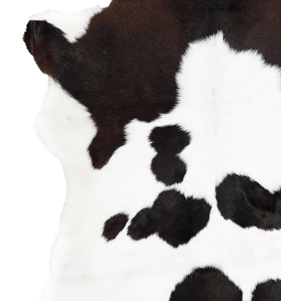 Calfhide Approx 2'x3' #A42679 by Hudson Hides