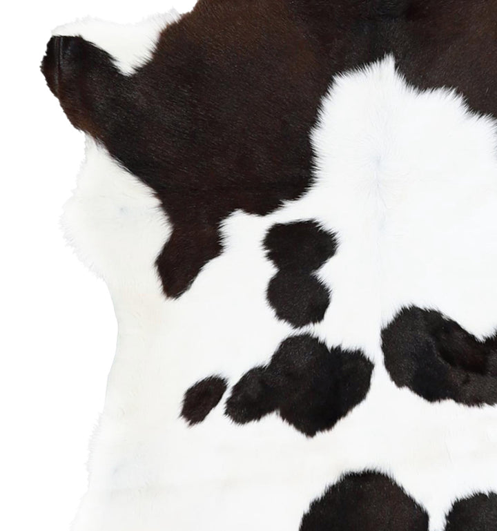 Calfhide Approx 2'x3' #A42679 by Hudson Hides