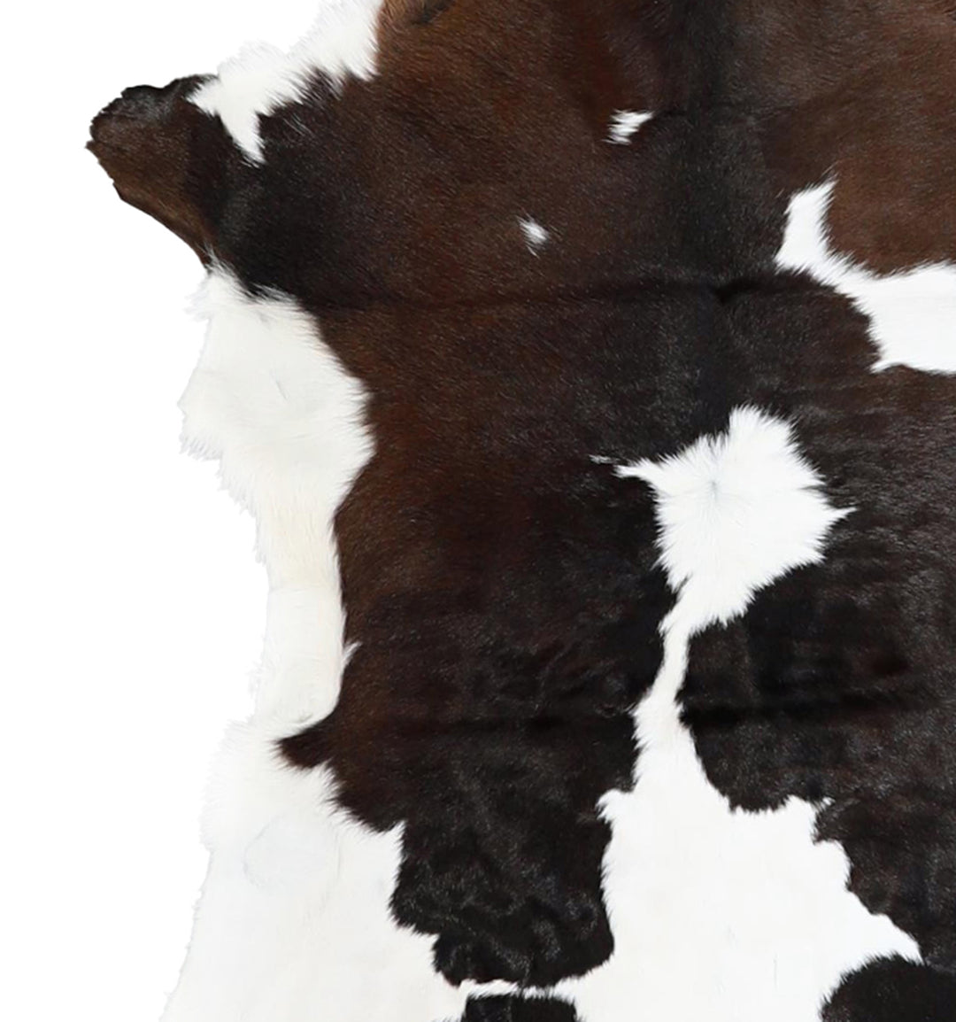 Calfhide Approx 2'x3' #A42680 by Hudson Hides