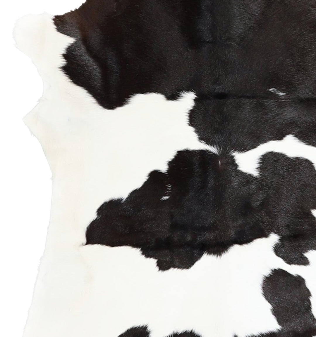 Calfhide Approx 2'x3' #A42681 by Hudson Hides