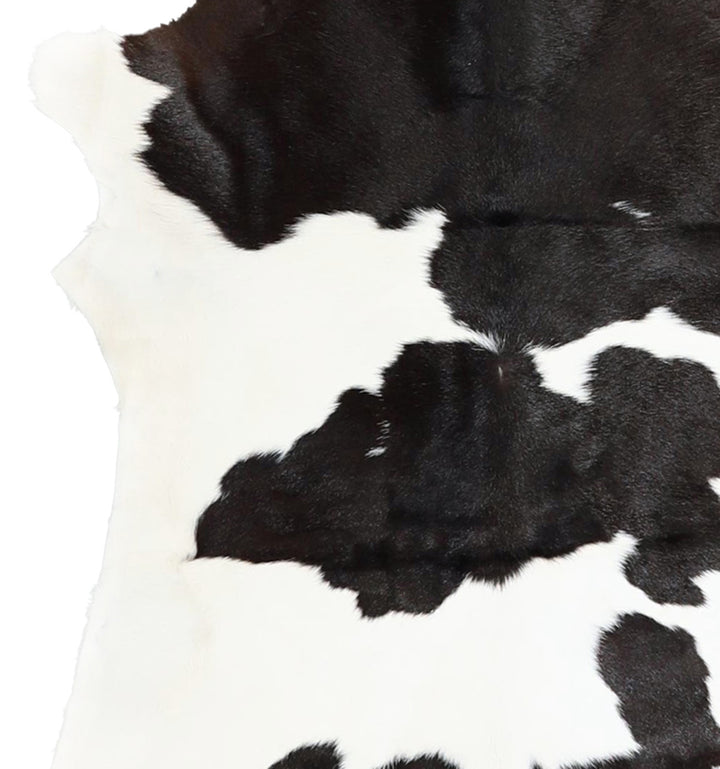 Calfhide Approx 2'x3' #A42681 by Hudson Hides