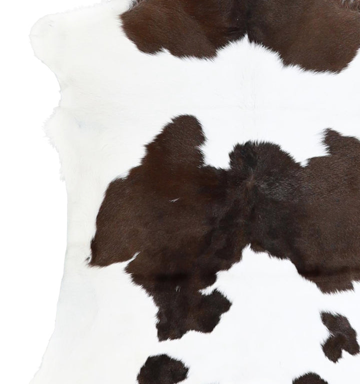 Calfhide Approx 2'x3' #A42682 by Hudson Hides