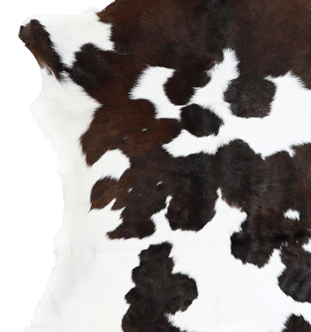 Calfhide Approx 2'x3' #A42683 by Hudson Hides