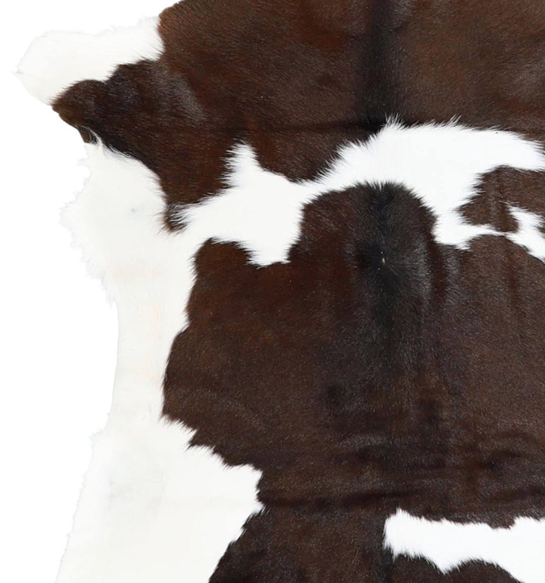 Calfhide Approx 2'x3' #A42684 by Hudson Hides
