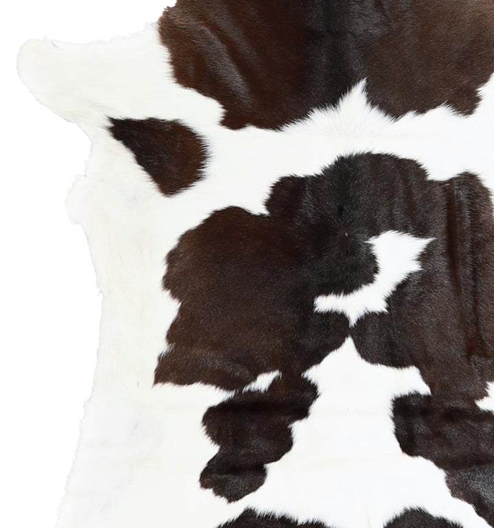 Calfhide Approx 2'x3' #A42685 by Hudson Hides