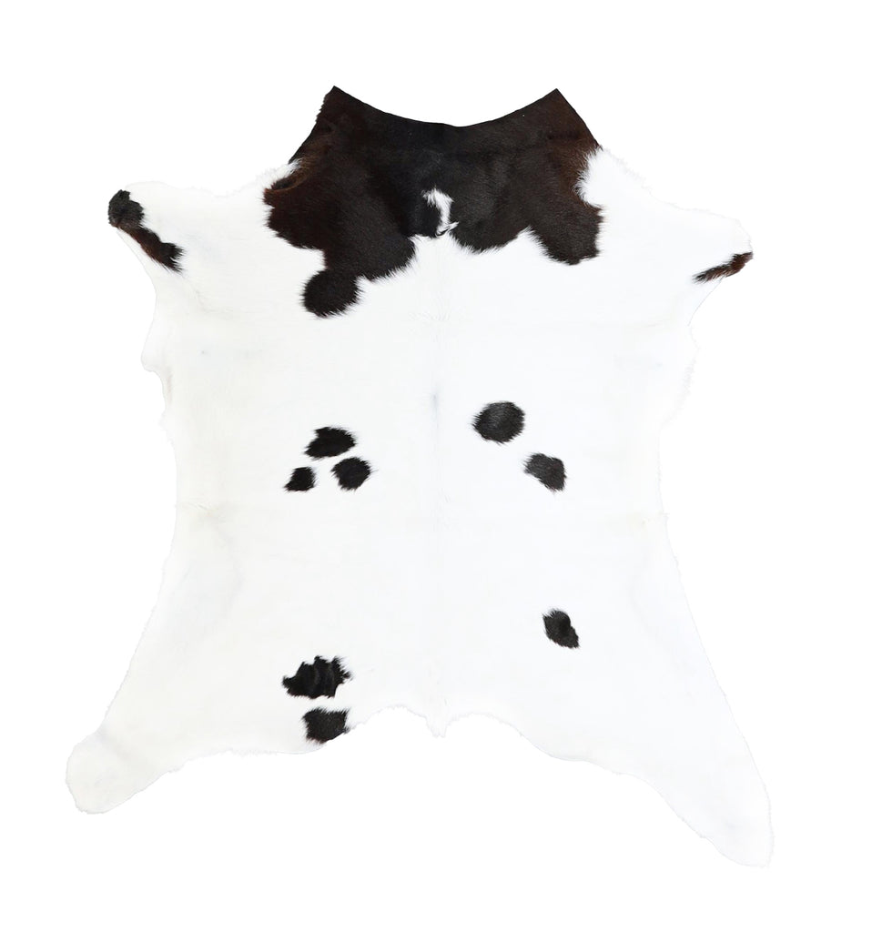 Calfhide Approx 2'x3' #A42691 by Hudson Hides