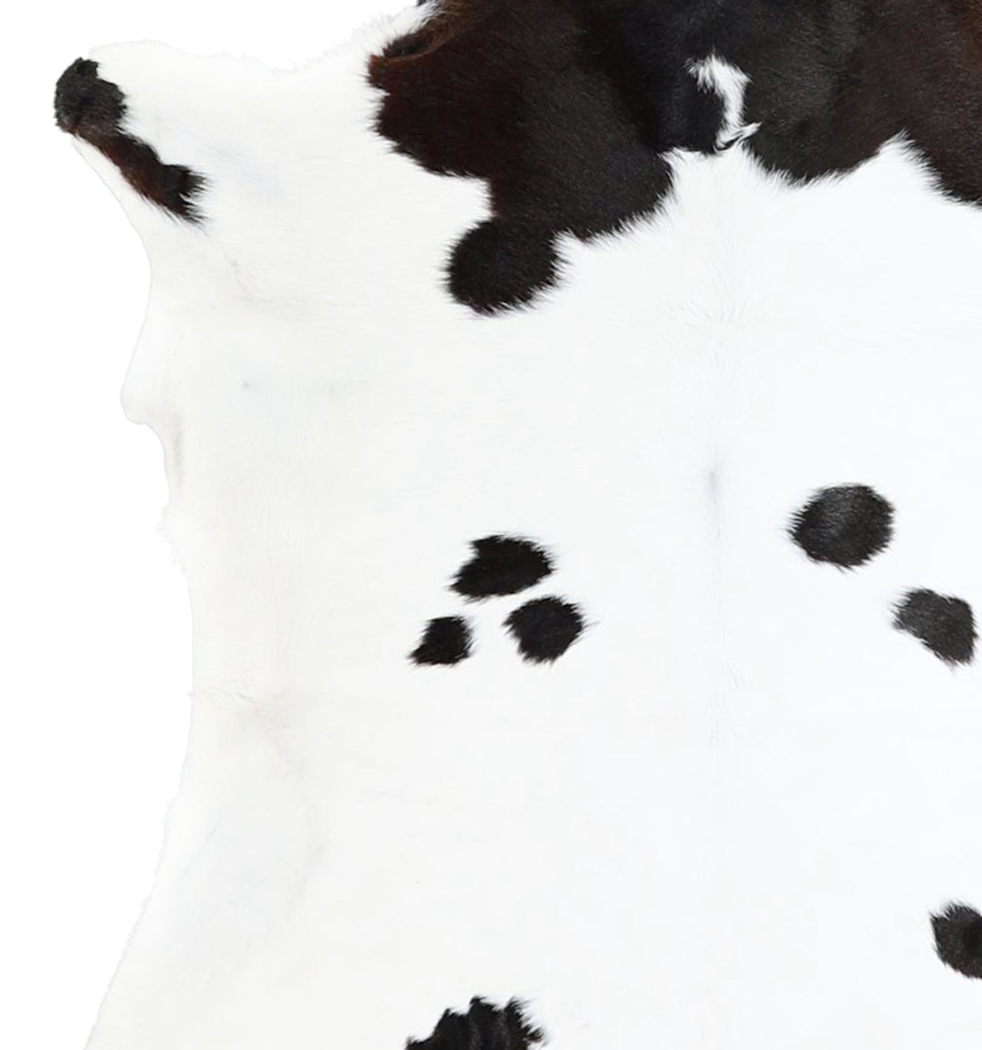 Calfhide Approx 2'x3' #A42691 by Hudson Hides