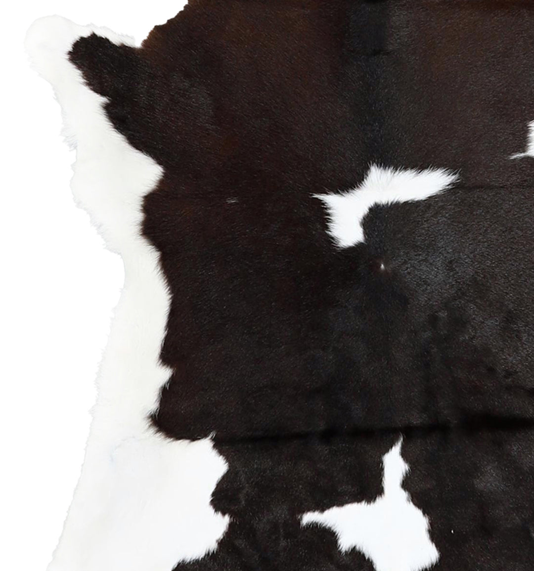 Calfhide Approx 2'x3' #A42693 by Hudson Hides
