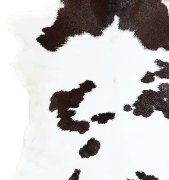 Calfhide Approx 2'x3' #A42695 by Hudson Hides