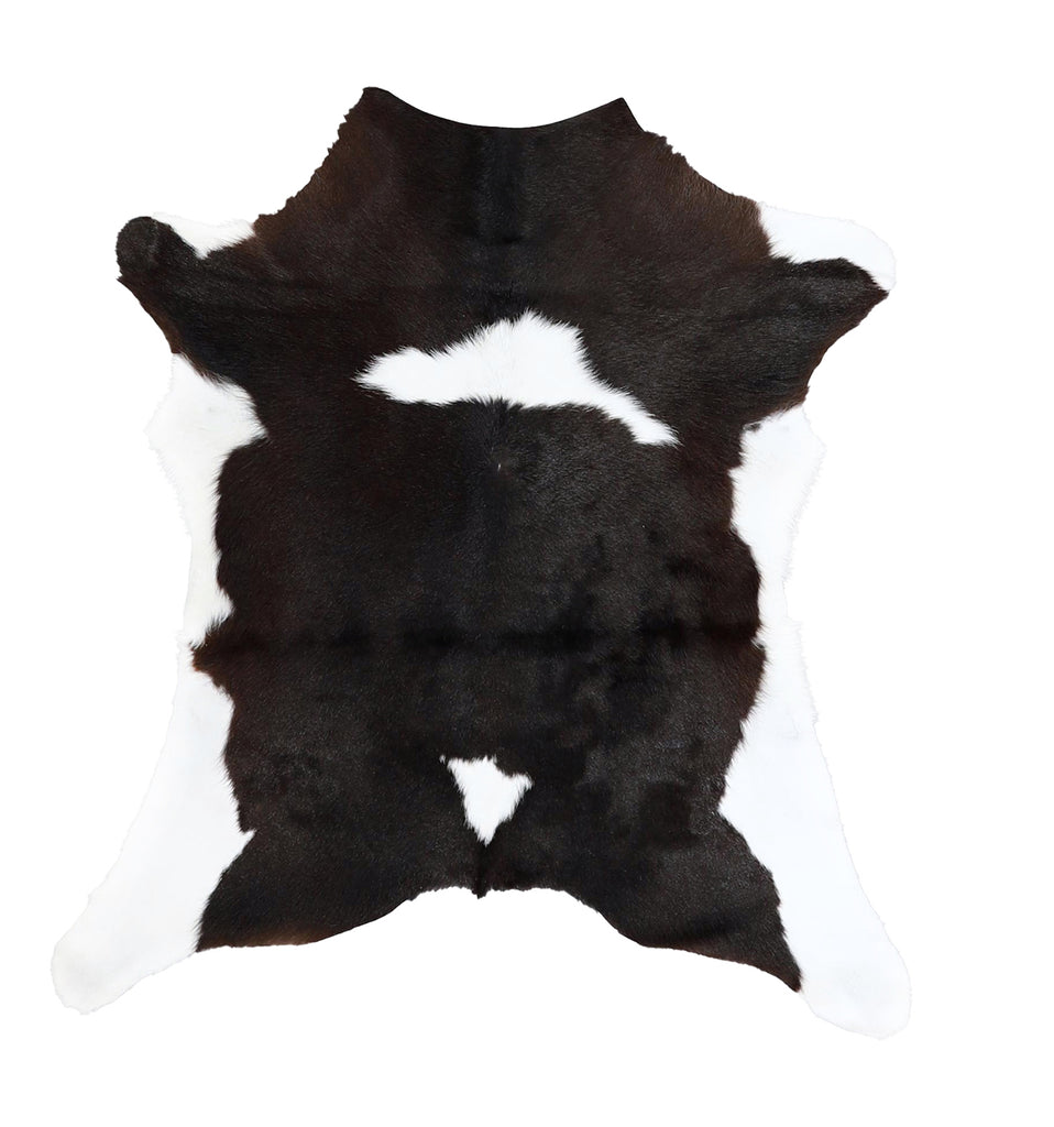 Calfhide Approx 2'x3' #A42698 by Hudson Hides