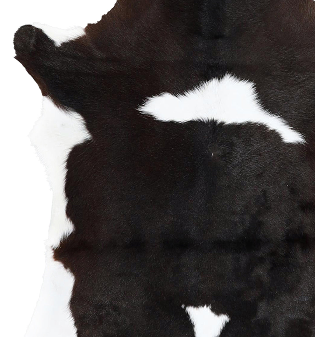 Calfhide Approx 2'x3' #A42698 by Hudson Hides