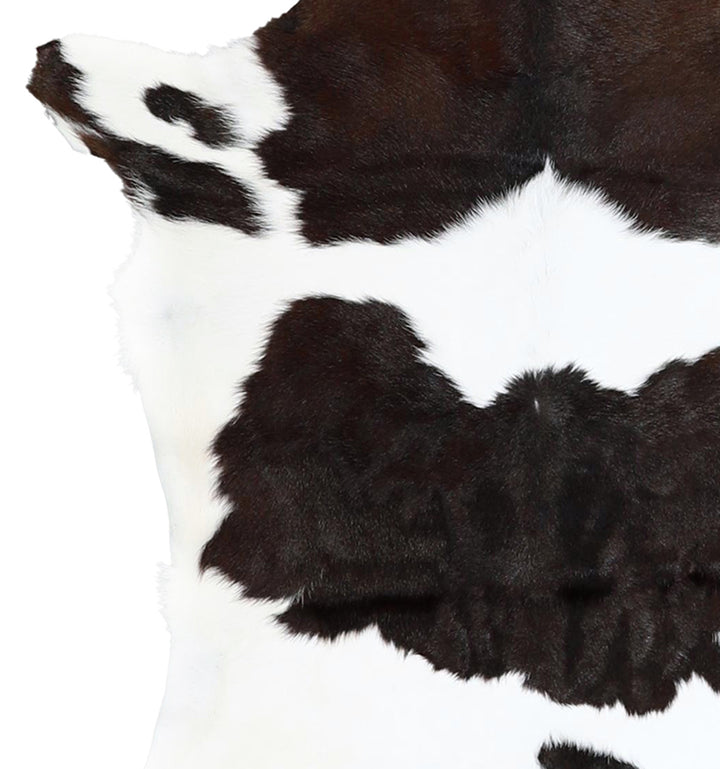 Calfhide Approx 2'x3' #A42699 by Hudson Hides