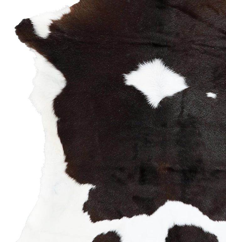 Calfhide Approx 2'x3' #A42703 by Hudson Hides
