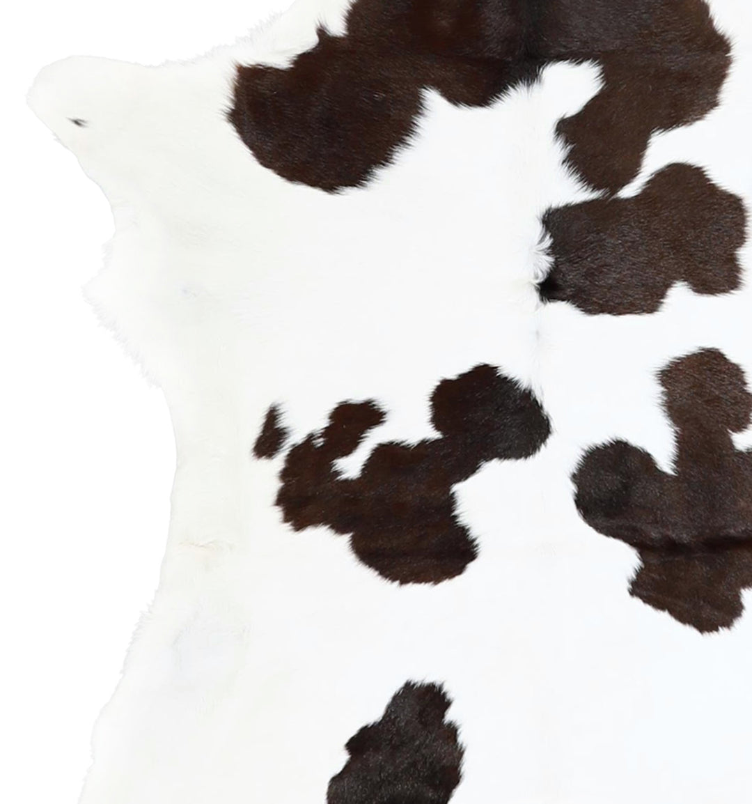 Calfhide Approx 2'x3' #A42704 by Hudson Hides