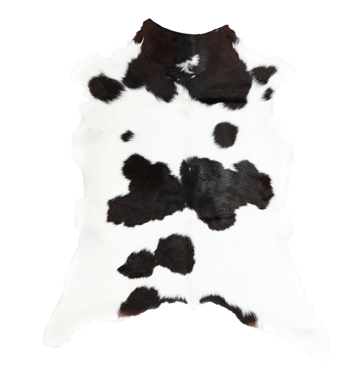 Calfhide Approx 2'x3' #A42718 by Hudson Hides