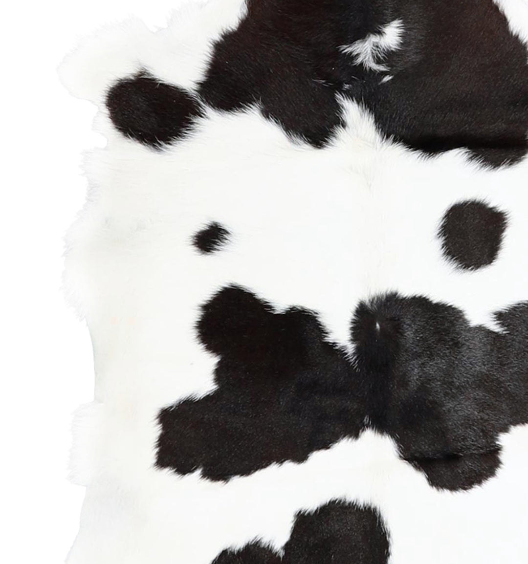 Calfhide Approx 2'x3' #A42718 by Hudson Hides