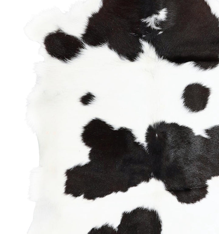 Calfhide Approx 2'x3' #A42718 by Hudson Hides
