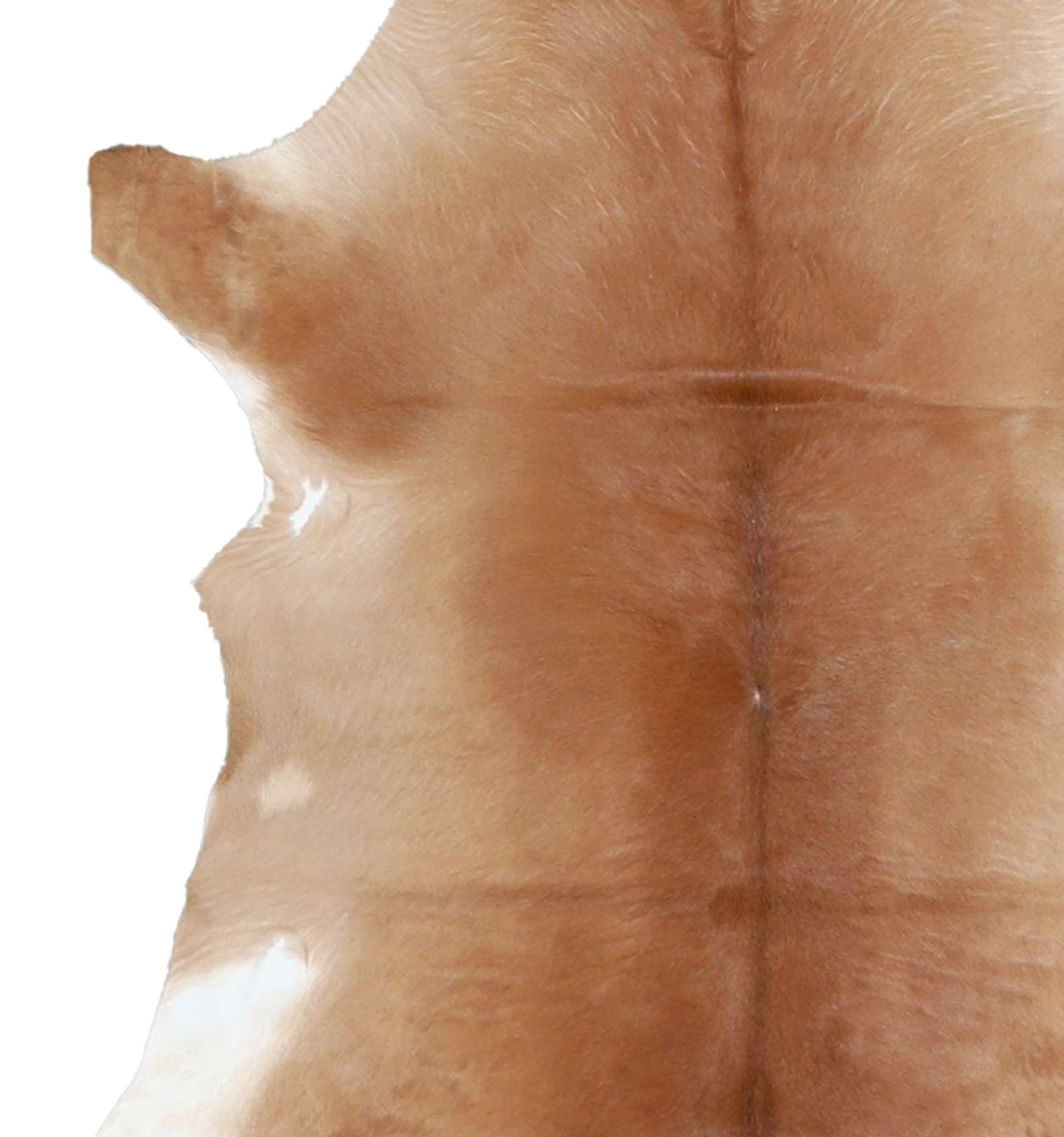 Calfhide Rug #A42725