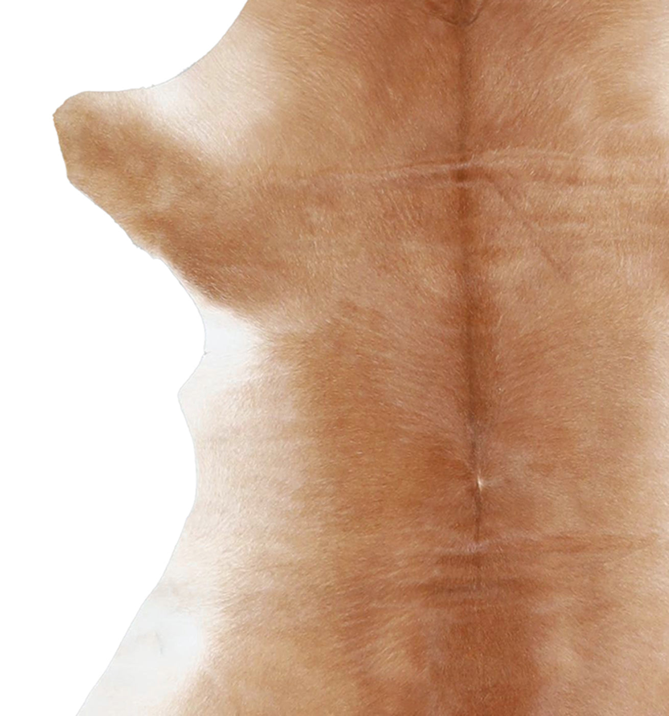 Calfhide Rug #A42740
