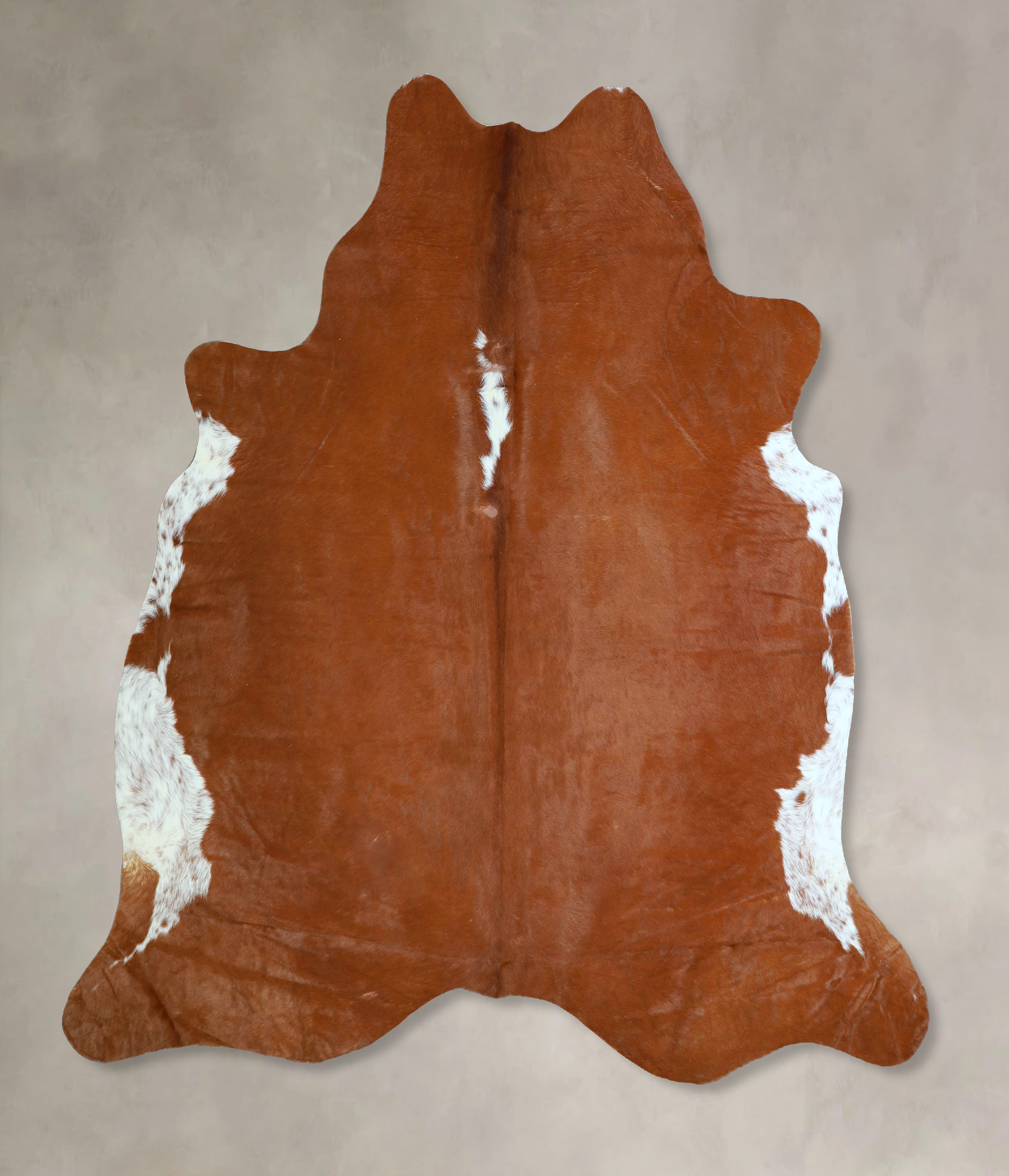 Brown and White Regular Cowhide Rug #A42749