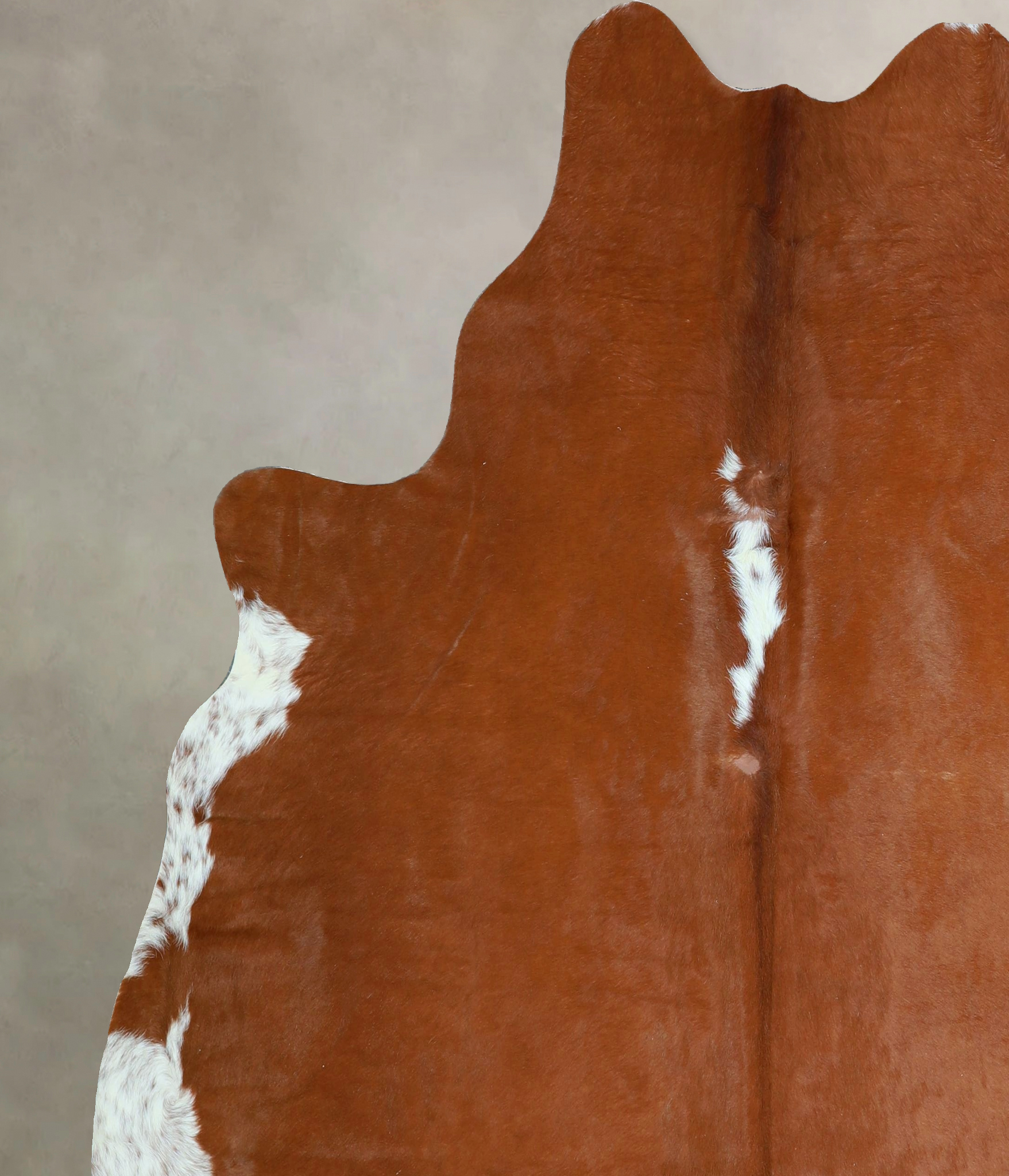 Brown and White Regular Cowhide Rug #A42749