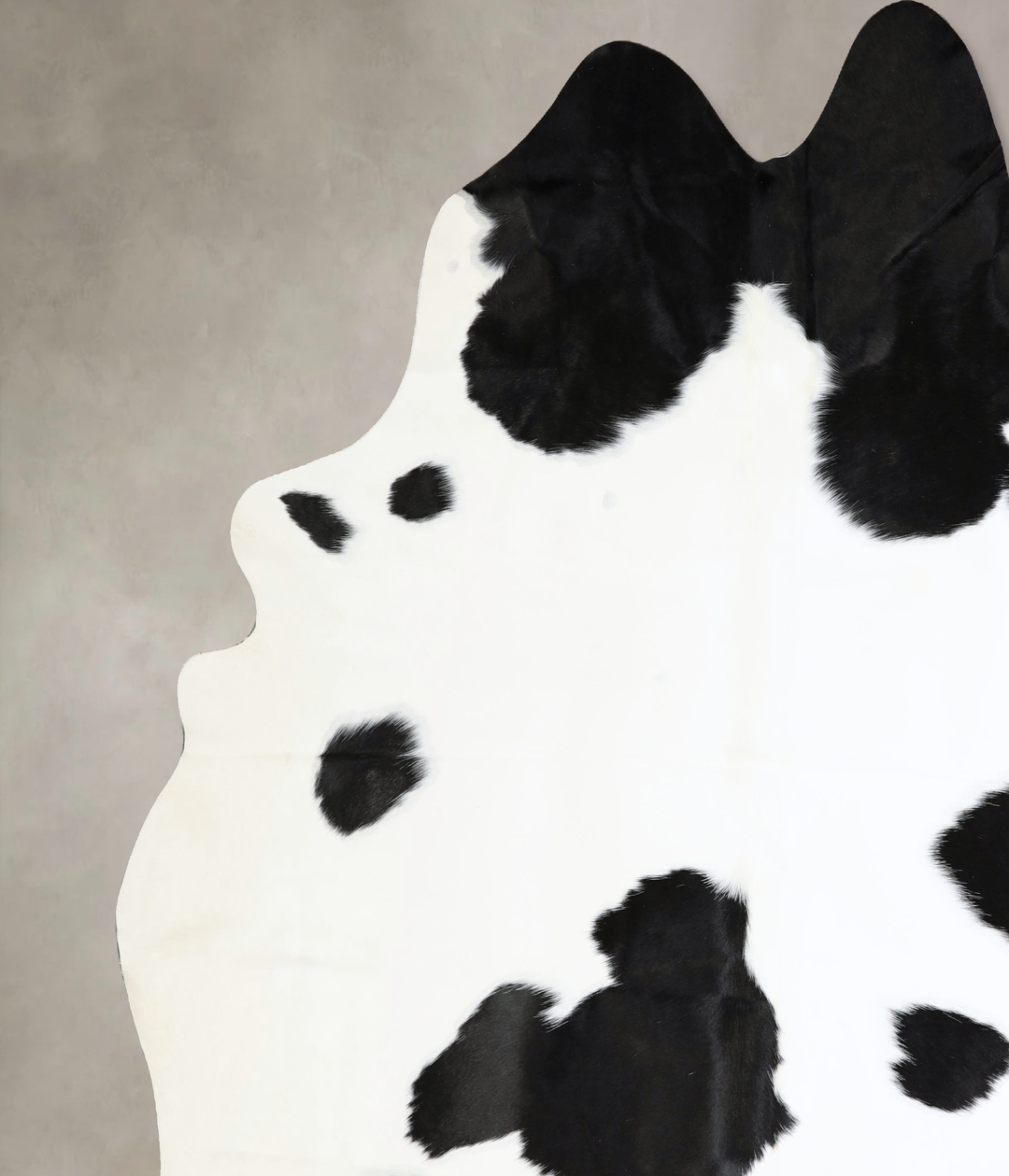 Black and White XX-Large Brazilian Cowhide Rug 8'4"H x 7'6"W #A42757 b